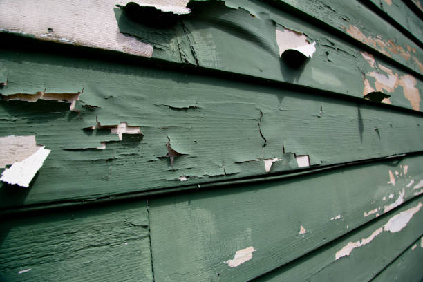 Best Residential Junk Removal  in Henderson, KY